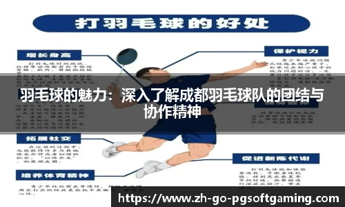 羽毛球的魅力：深入了解成都羽毛球队的团结与协作精神